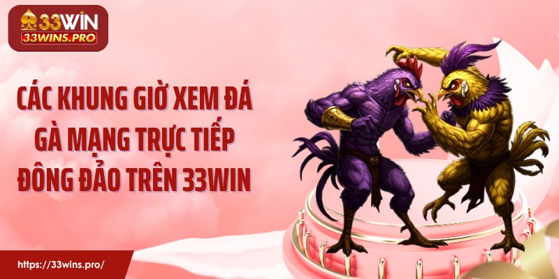 Các khung giờ xem đá gà mạng trực tiếp đông đảo trên 33WIN