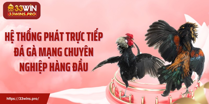 Hệ thống phát trực tiếp đá gà mạng chuyên nghiệp hàng đầu
