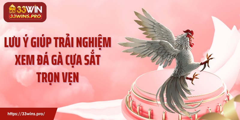 Lưu ý giúp trải nghiệm xem đá gà cựa sắt trọn vẹn