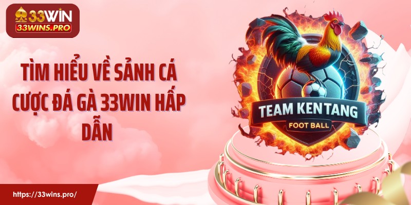 Tìm hiểu về sảnh cá cược đá gà 33Win hấp dẫn 